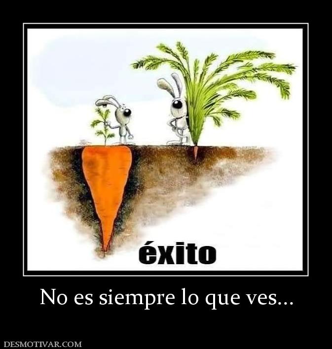 No es siempre lo que ves...