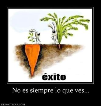 No es siempre lo que ves...