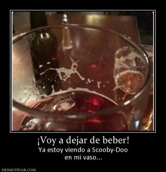 ¡Voy a dejar de beber! Ya estoy viendo a Scooby-Doo en mi vaso...