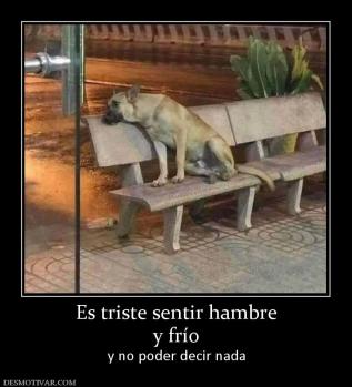 Es triste sentir hambre y frío y no poder decir nada