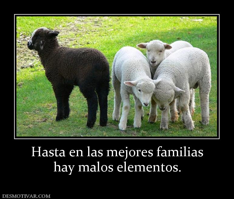 Hasta en las mejores familias hay malos elementos.