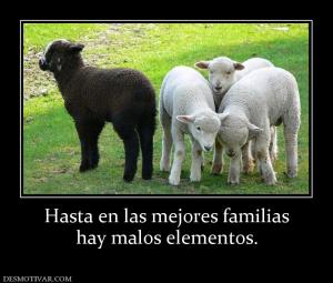 Hasta en las mejores familias hay malos elementos.