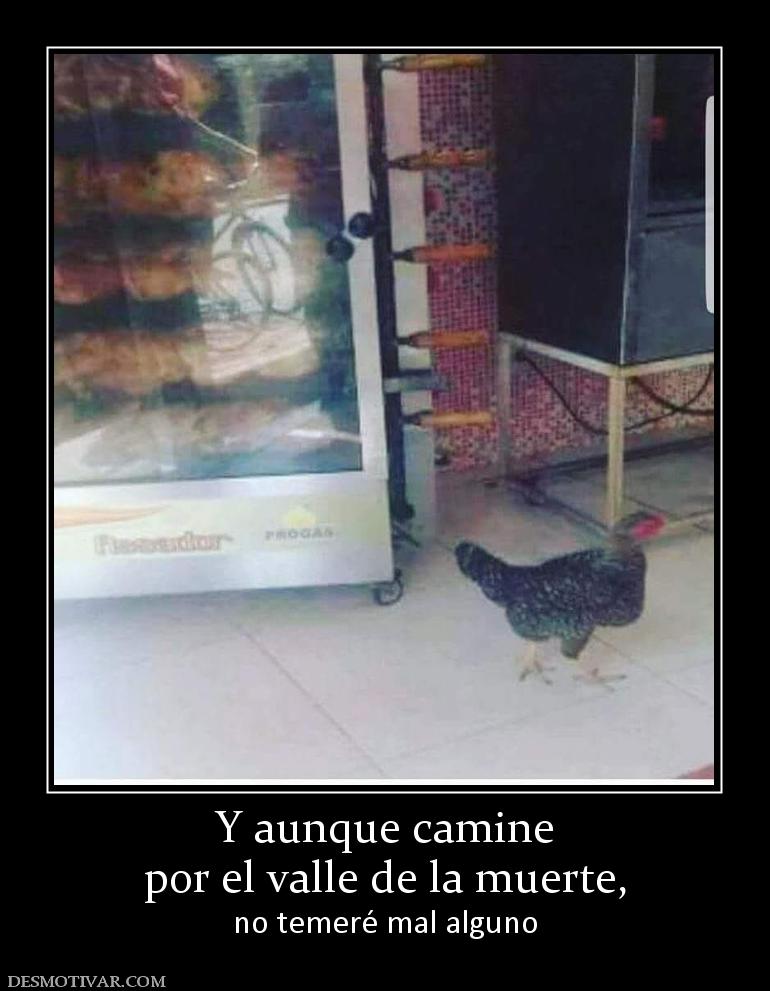 Y aunque camine por el valle de la muerte, no temeré mal alguno