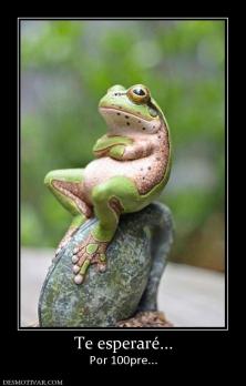 Te esperaré... Por 100pre...