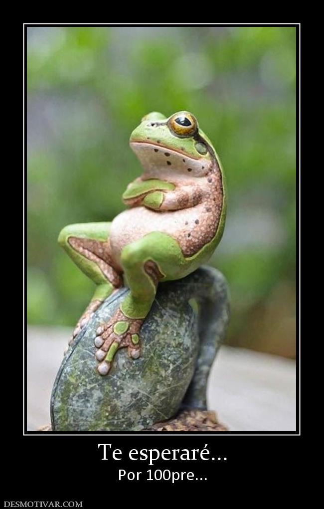 Te esperaré... Por 100pre...