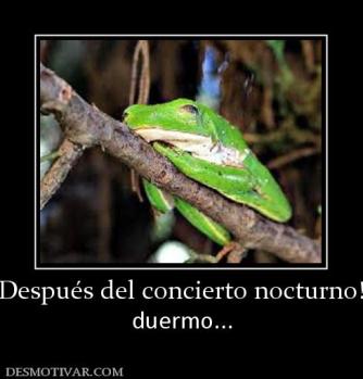 Después del concierto nocturno! duermo...