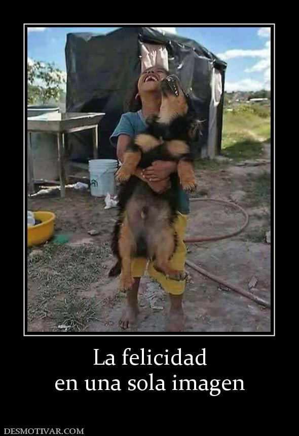 La felicidad en una sola imagen