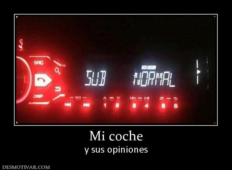 Mi coche y sus opiniones