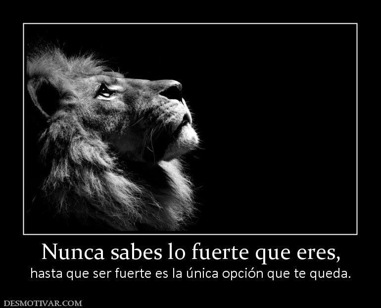 Nunca sabes lo fuerte que eres, hasta que ser fuerte es la única opción que te queda.