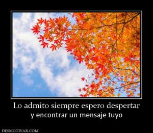 Lo admito siempre espero despertar y encontrar un mensaje tuyo