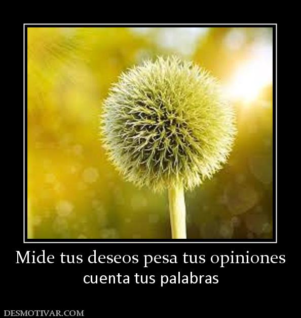 Mide tus deseos pesa tus opiniones cuenta tus palabras