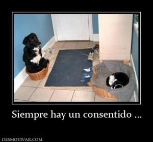 Siempre hay un consentido ...