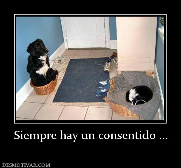 Siempre hay un consentido ...