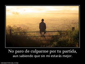 No paro de culparme por tu partida, aun sabiendo que sin mi estarás mejor.