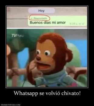 Whatsapp se volvió chivato!
