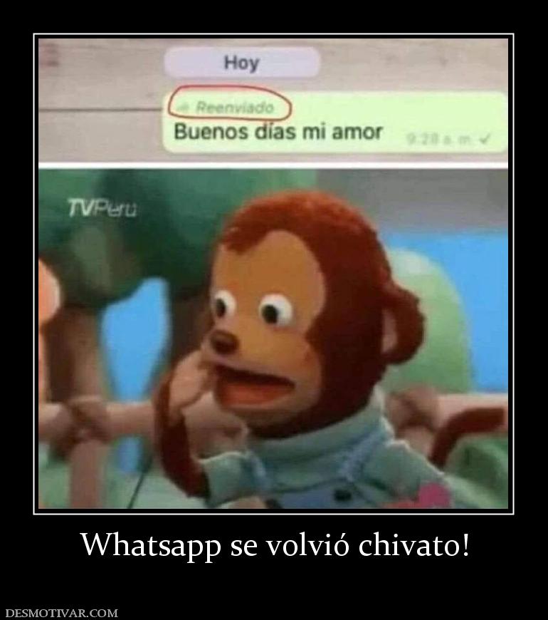 Whatsapp se volvió chivato!