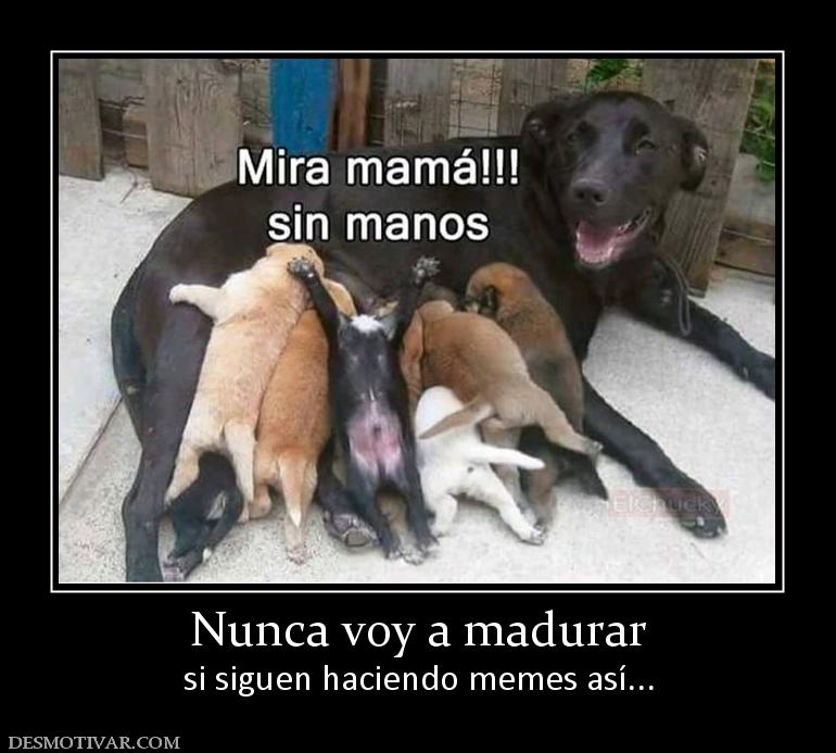 Nunca voy a madurar si siguen haciendo memes así...