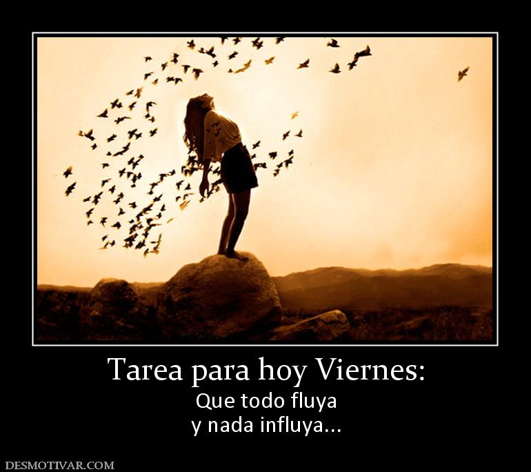 Tarea para hoy Viernes: Que todo fluya y nada influya...