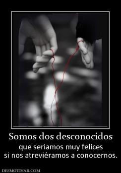 Somos dos desconocidos que seríamos muy felices si nos atreviéramos a conocernos.