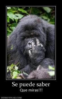Se puede saber Que miras!!!