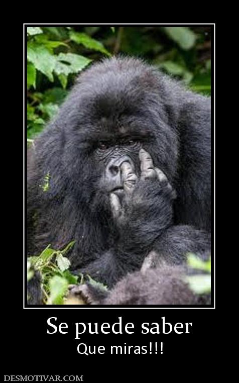 Se puede saber Que miras!!!