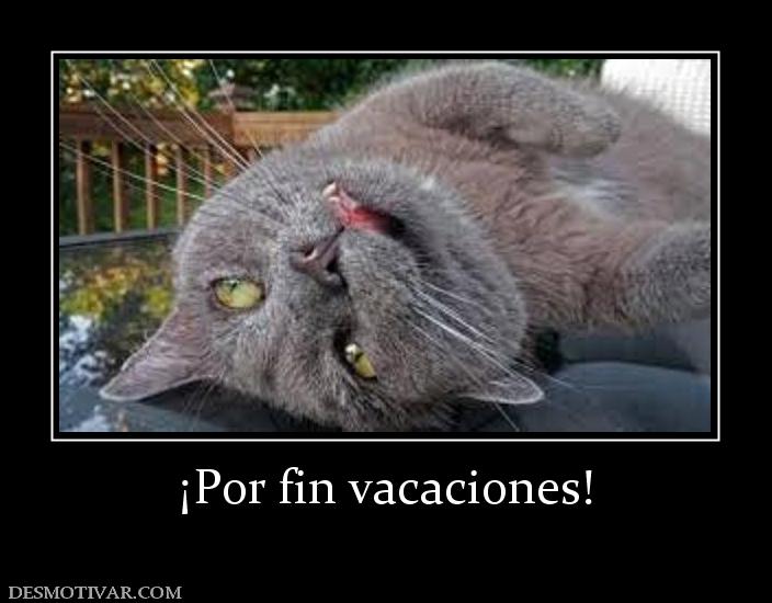 ¡Por fin vacaciones!