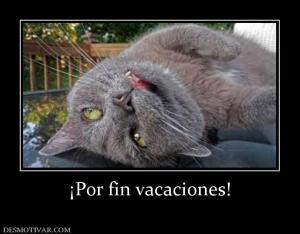 ¡Por fin vacaciones!