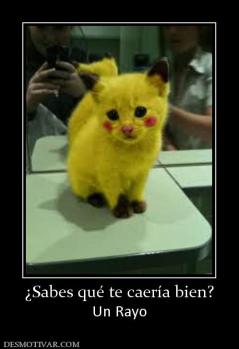 ¿Sabes qué te caería bien? Un Rayo