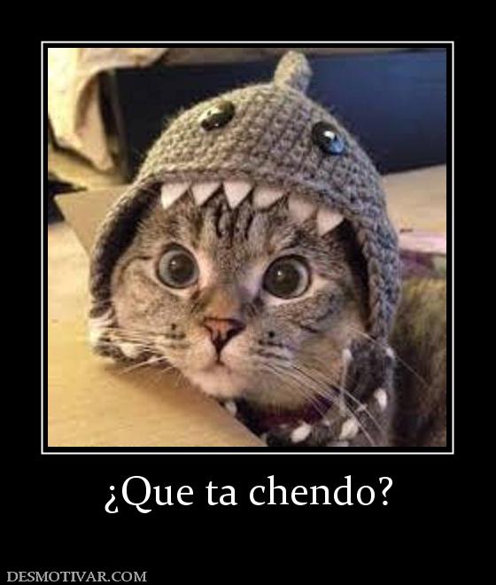 ¿Que ta chendo?