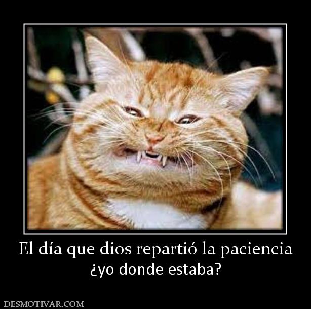 El día que dios repartió la paciencia ¿yo donde estaba?