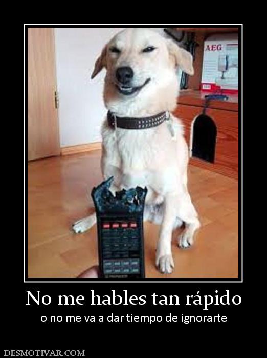 No me hables tan rápido o no me va a dar tiempo de ignorarte