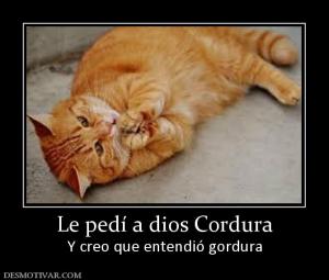 Le pedí a dios Cordura Y creo que entendió gordura