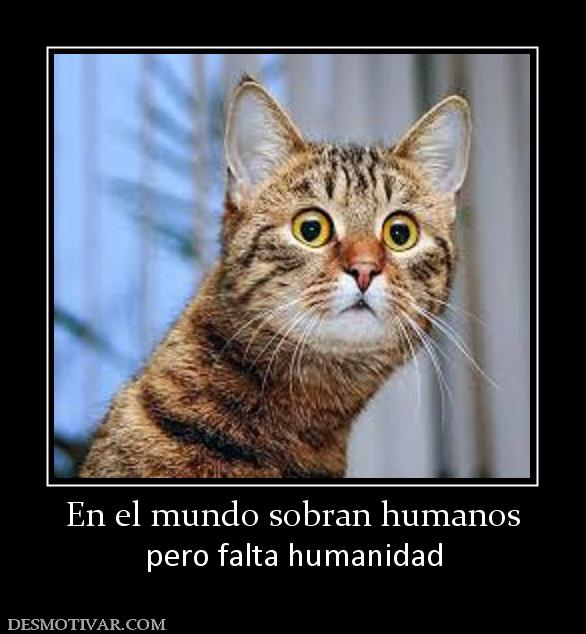 En el mundo sobran humanos pero falta humanidad
