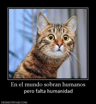 En el mundo sobran humanos pero falta humanidad