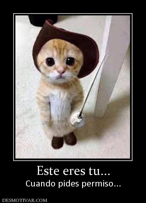 Este eres tu... Cuando pides permiso...