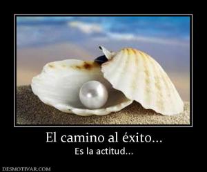 El camino al éxito... Es la actitud...
