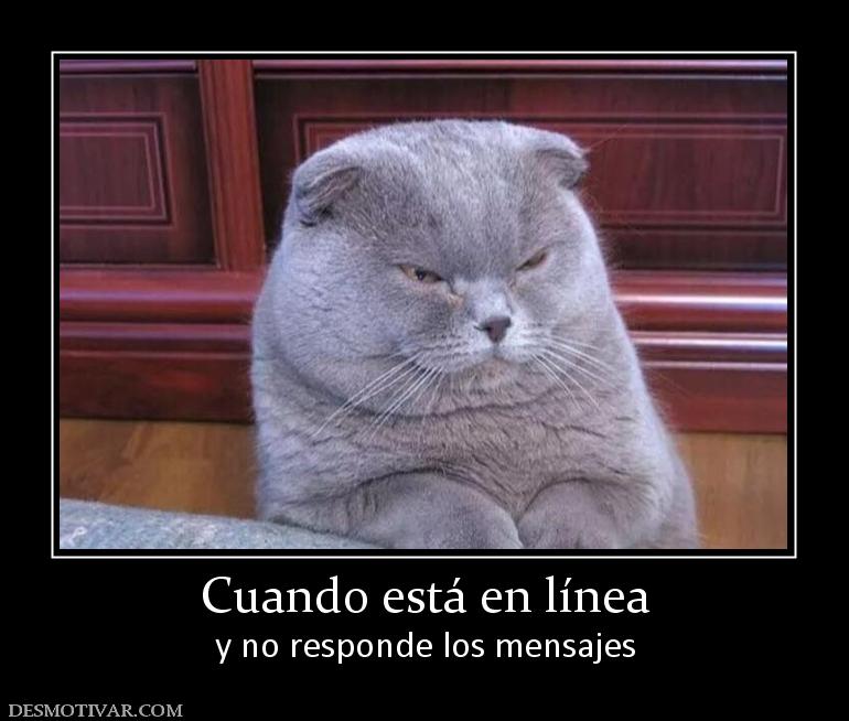Cuando está en línea y no responde los mensajes