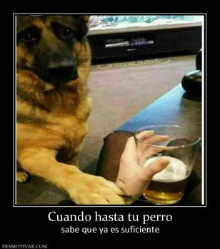 Cuando hasta tu perro sabe que ya es suficiente