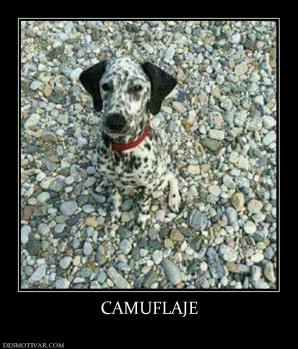 CAMUFLAJE
