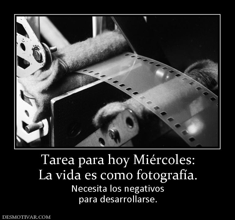 Tarea para hoy Miércoles: La vida es como fotografía.  Necesita los negativos para desarrollarse.