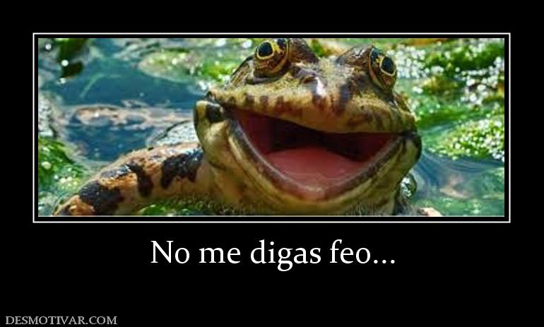 No me digas feo...