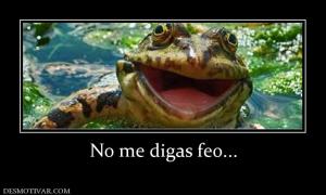 No me digas feo...