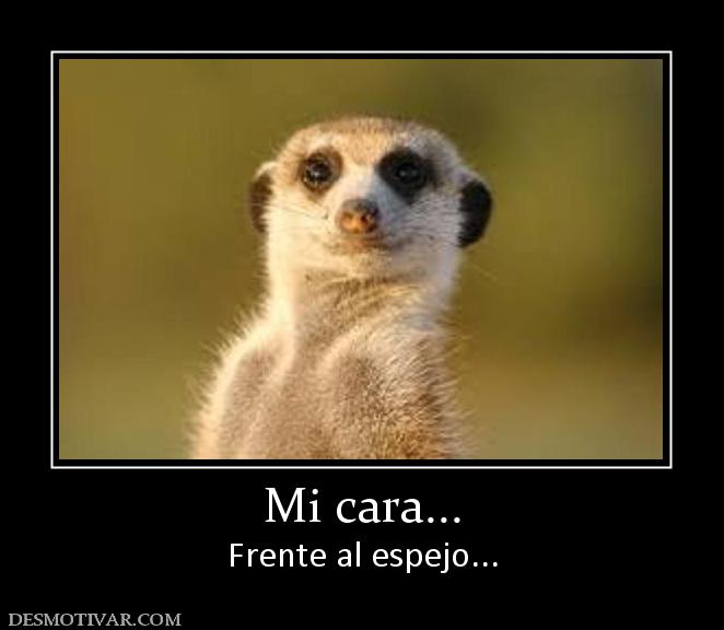 Mi cara... Frente al espejo...