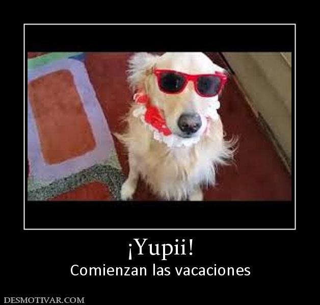 ¡Yupii! Comienzan las vacaciones