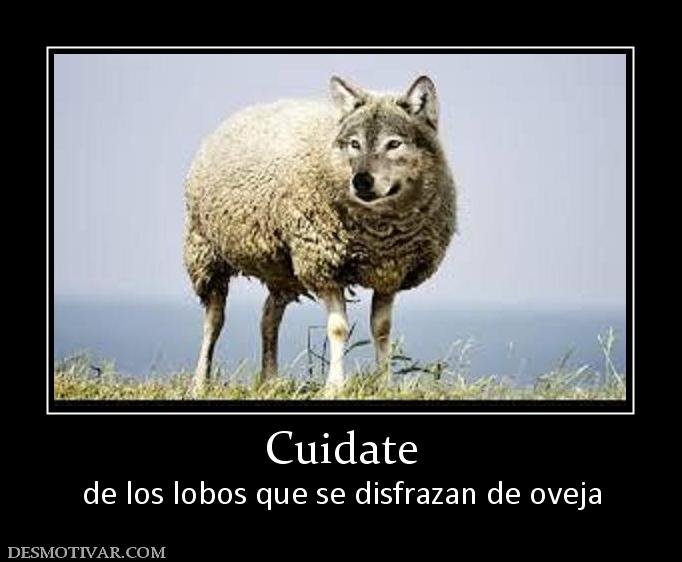 Cuidate de los lobos que se disfrazan de oveja