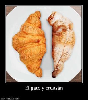 El gato y cruasán