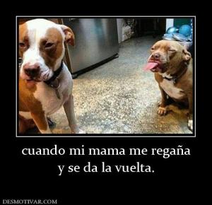 cuando mi mama me regaña y se da la vuelta.