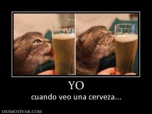 YO cuando veo una cerveza...