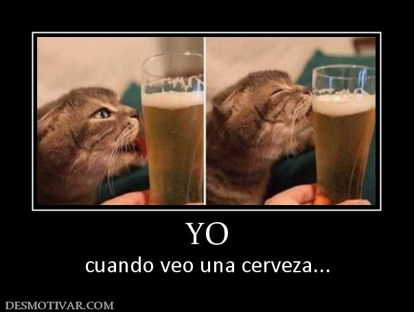 YO cuando veo una cerveza...