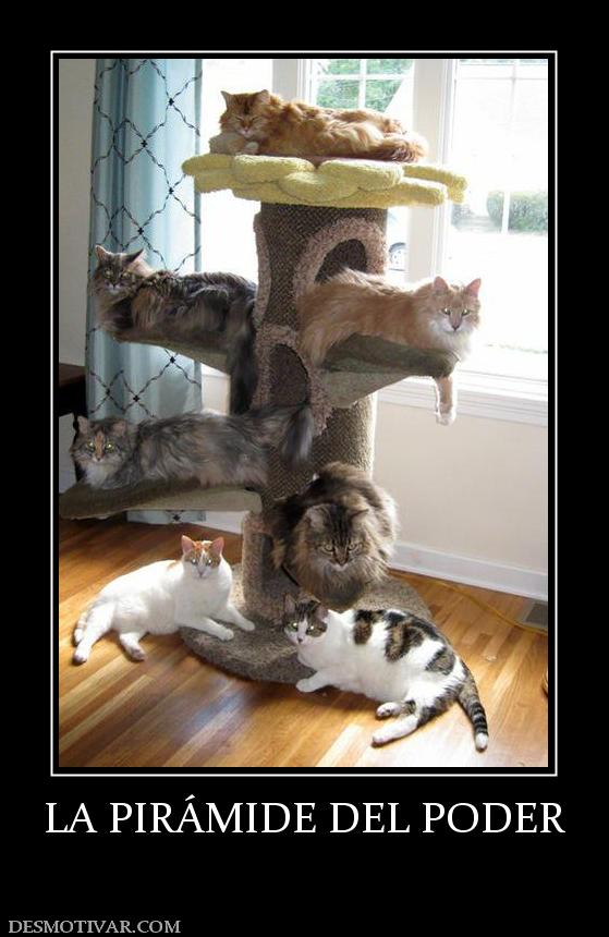 LA PIRÁMIDE DEL PODER